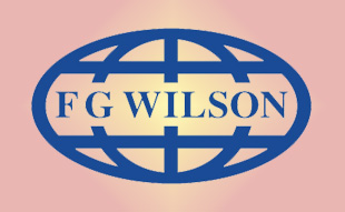 ✓ FG-Wilson ZZ80268 Головка блока цилиндров в сборе 